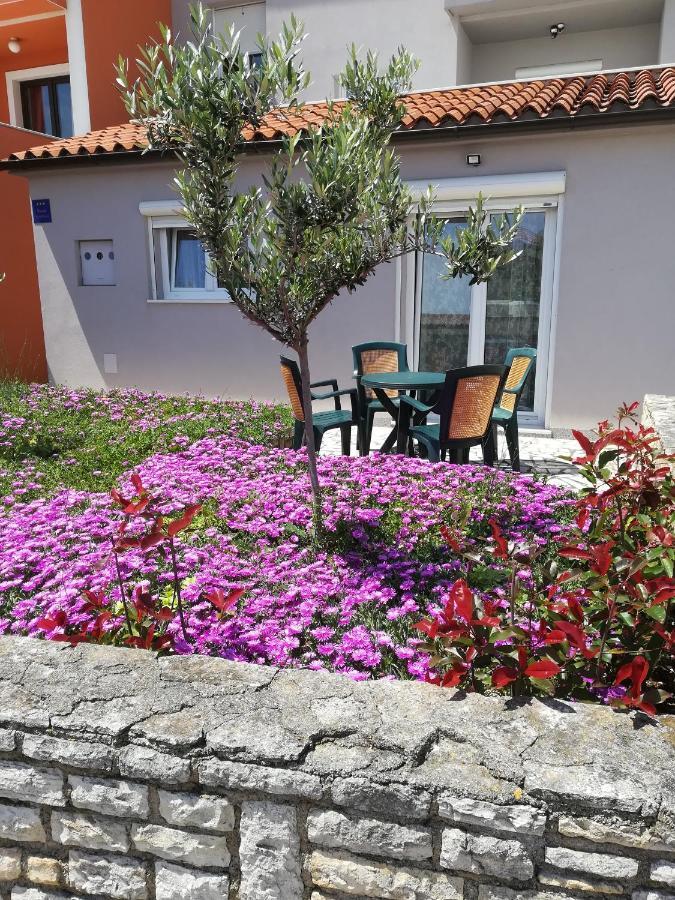 Apartment Lavanda Premantura Εξωτερικό φωτογραφία